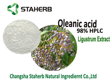 China La planta natural pura orgánica del 100% extrae el extracto brillante de Lucidum de la fruta/del Ligustrum de la alheña de la CLAR del ácido el 98% de Oleanic proveedor