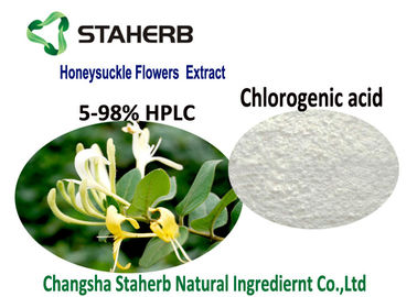 China Ingredientes cosméticos naturales orgánicos, ácido Chlorogenic 5-98% CAS del extracto de la flor de la madreselva 327 97 9 proveedor