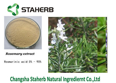 China Extracto herbario ácido de la planta de Ursolic Rosemary proveedor
