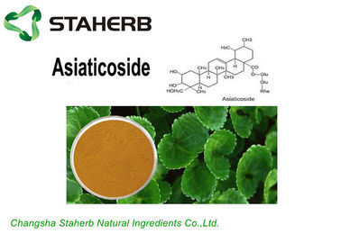 China Extracto marrón claro el Asiaticoside10%/40%/90% de la cola de Gotu del polvo para los cosméticos proveedor
