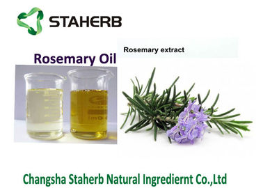 China Aceite esencial del extracto, de Rosemary de la hoja de Rosemary para la comida y extracto natural de la hierba del cosmetics.100% proveedor