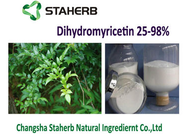 China Polvo natural de Dihydromyricetin DMY del extracto de Ampelopsis Grossedentata del té de la vid proveedor