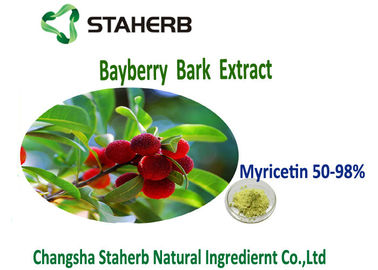 China Miricetina amarilla 50%-98% del color verde del extracto del polvo de la corteza del Bayberry de la antioxidación proveedor