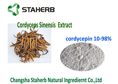China 10- Polvo orgánico natural CAS 73 del extracto del 98% Cordycepin Cordyceps 03 0 proveedor