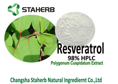 China Polvo del extracto de la raíz de Cuspidatum del Polygonum de la CLAR del Resveratrol el 98% para la extensión de vida proveedor