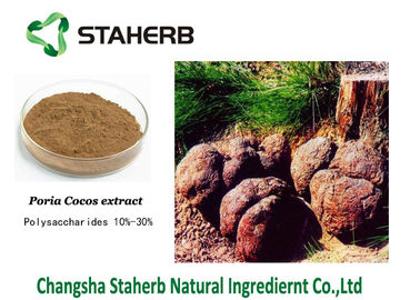 China Material de referencia estándar del extracto de los Cocos de Poria del polvo de Brown anti - cáncer de pulmón proveedor
