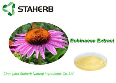 China Materiales de referencia estándar naturales del 100%, ácido el 2% de Cichoric del extracto de Purpurea del Echinacea de la medicina de la hierba proveedor