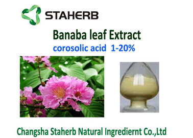 China Peso ácido de Corosolic que pierde las materias primas, prueba de la CLAR del polvo del extracto de la hoja de Banaba proveedor