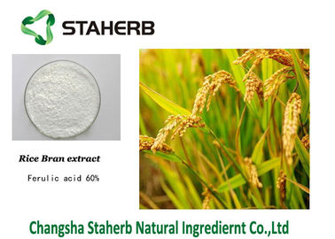 China Extractos herbarios puros de la cáscara ácida Ferulic del arroz proveedor