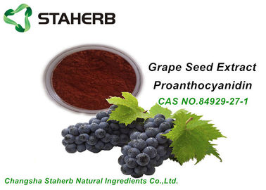 China OPC orgánico el 95% CAS 84929 del extracto de la semilla de la uva de los ingredientes del maquillaje del oxidante anti 27 1 proveedor
