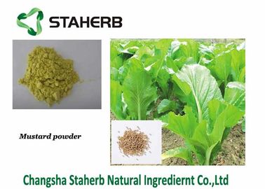 China Nutrición completa de la mostaza del polvo del Wasabi de la semilla de la extracción orgánica negra/blanca de la pieza proveedor