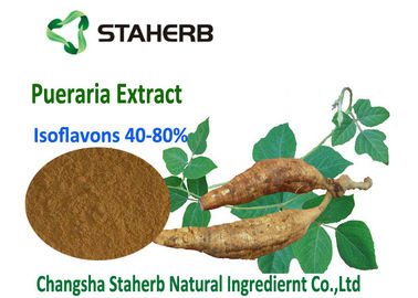 China Polvo marrón claro CAS 3681 del extracto de la raíz del Lobata del Pueraria del Isoflavons40%~80% 99 0 proveedor