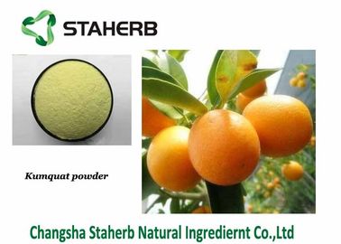 China Aditivo alimenticio inmediato del sabor del extracto de Aurantium de la fruta cítrica del polvo del kumquat de la fruta proveedor