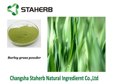 China Extracción secada a presión de aire del color verde de Gine del polvo del jugo de la hierba de cebada de la hierba proveedor