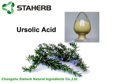 China Ingredientes cosméticos naturales del extracto de Rosemary, color ácido de Brown del polvo de Ursolic proveedor