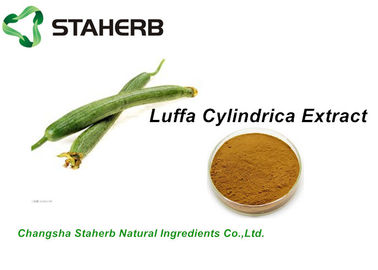 China Ingredientes cosméticos naturales de la hierba, 10:1 del extracto de Cylindrica de la lufa de las materias primas de los cosméticos proveedor