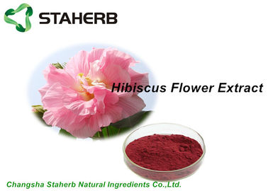 China Polvo secado ingredientes cosméticos naturales del extracto de la flor del hibisco de las antocianinas el 5% proveedor
