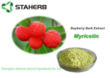 China La planta natural pura de la corteza del Bayberry extrae el polvo CAS herbario 529 la CLAR 44 2 proveedor