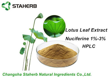 China Peso que pierde CLAR del extracto el Nuciferine1%-3% de la hoja de Lotus de los ingredientes de las materias primas proveedor