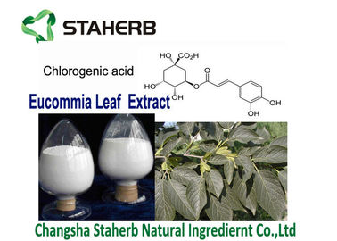 China La planta natural pura de la hoja de Eucommia Ulmoides extrae CAS ácido Chlorogenic 327 97 9 proveedor