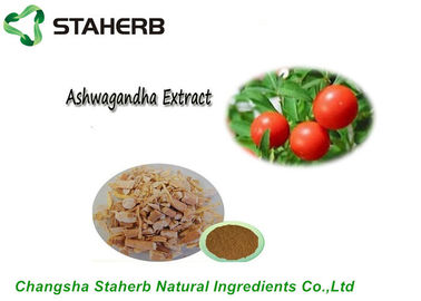 China Extracto natural puro Withanolides de Ashwagandha del extracto de la planta por CLAR proveedor