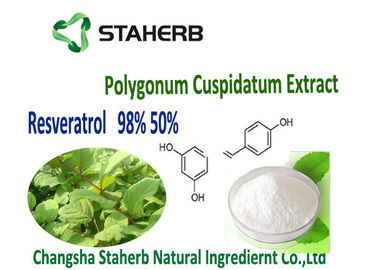 China Extracto de la planta verde de la raíz de Cuspidatum del Polygonum proveedor