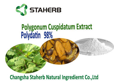 China Polvo natural puro el 98%, CLAR 65914-17-2 de Polydatin de la raíz de Cuspidatum del Polygonum del extracto del 50% proveedor