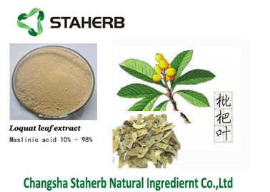 China Extractos naturales puros de la planta del Loquat de Maslinic del extracto ácido de la hoja 4373-41-5 proveedor