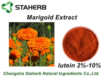 China Colorante fitógeno rojo del polvo de la luteína 2%-10% del extracto de la maravilla de los añadidos de la alimentación proveedor