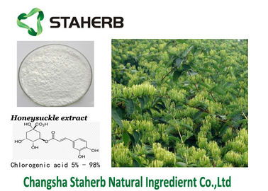 China El extracto ácido Chlorogenic de la flor de Honeysuchle del extracto de CAS 327-97-9 reduce calor proveedor