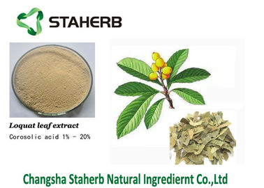 China El ácido de Corosolic concentró el extracto cas 4547-24-4 de la hoja del Loquat del extracto de la planta proveedor