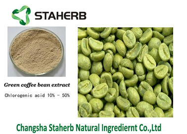 China El ácido Chlorogenic, carga el extracto verde perdidoso CAS del grano de café NINGÚN 327-97-9 proveedor