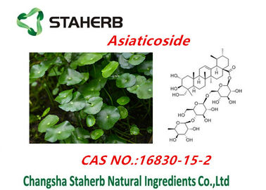 China El extracto asiatica de Centella/la planta natural pura extrae el polvo de Asiaticosides proveedor
