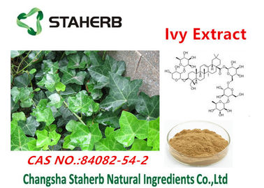 China La planta antibacteriana del extracto de la hiedra extrae el polvo cas no.84082-54-2 de Hederacoside c proveedor