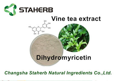 China Extracto herbario puro anticáncer DMY Dihydromyricetin el 98% del té de la vid del extracto por CLAR proveedor