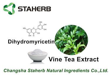 China La planta natural pura del té de la vid extrae el producto sano de Dihydromyricetin el 98% proveedor