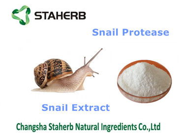 China Materias primas de los cosméticos naturales del extracto del caracol, ingredientes cosméticos orgánicos proveedor