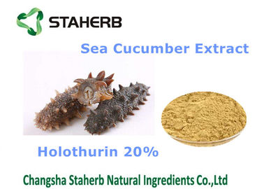 China Ingredientes cosméticos naturales Holothurin el 20% del extracto del pepino de mar para el cosmético proveedor