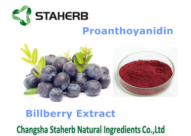 China La comida antioxidante del extracto del arándano complementa el polvo fino púrpura oscuro proveedor