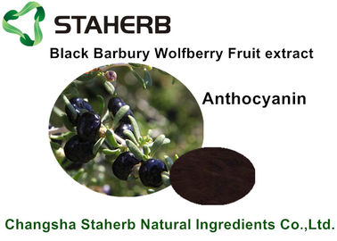 China Extracto negro de la fruta de Barbary Wolfberry, ingredientes alimentarios naturales para la bebida proveedor