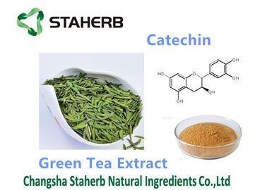 China Polvo antioxidante del catecol 50-98% del suplemento dietético del extracto del té verde proveedor