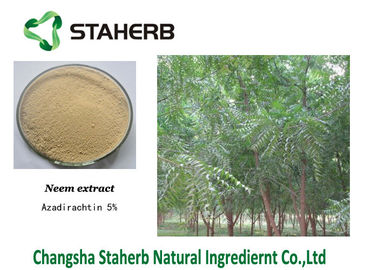 China Azadirachtin concentró el extracto de la planta, polvo del extracto de la planta verde de Neem proveedor