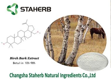 China Ingredientes orgánicos del maquillaje del extracto de la corteza de abedul, ingredientes naturales de la belleza proveedor