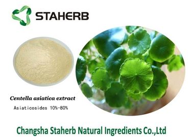 China Ingredientes cosméticos naturales del extracto de la cola de Gotu, ingredientes orgánicos del cuidado de piel proveedor