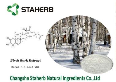 China Extracto ácido de la corteza de abedul de Betulinic, estándares de referencia herbarios antitumores proveedor