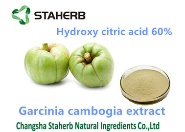 China Polvo del ácido el 60% de Hydroxycitric del polvo de la perdida de peso del extracto de Camboya del Garcinia proveedor