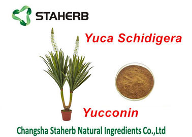 China Polvo natural de la yuca de Yocoin de los añadidos de la alimentación del extracto de Schidigera de la yuca proveedor