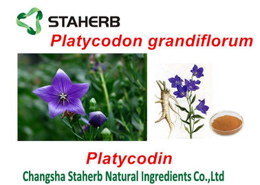 China Extractos de las plantas verdes de Platycodon Grandiflorum, extrayendo las sustancias químicas de las plantas proveedor