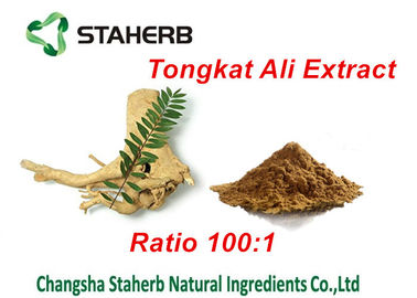 China Ingredientes masculinos naturales del aumento del extracto de Tongkat Ali, aumento masculino herbario proveedor