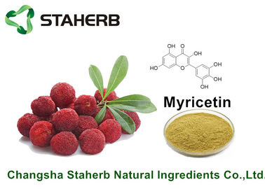 China La planta natural pura de la corteza del Bayberry extrae la miricetina el 98% para el producto de la salud por CLAR proveedor